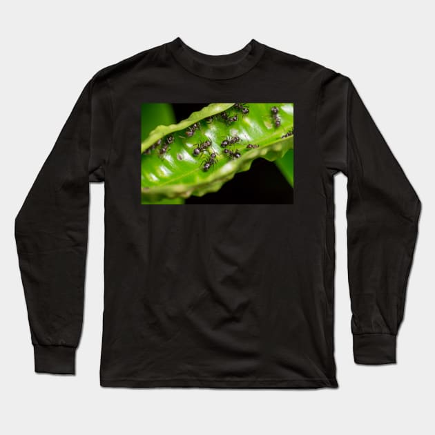 Unique and organic photo of a swarm of ants Long Sleeve T-Shirt by AvonPerception